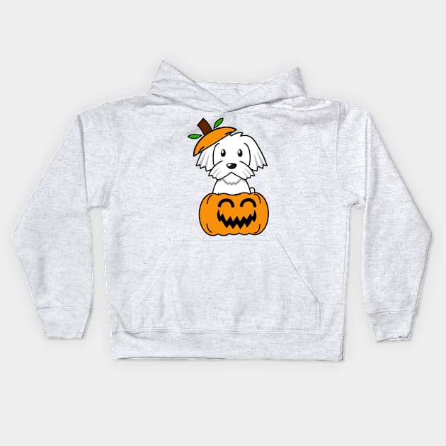 Funny white dog is in a pumpkin Kids Hoodie by Pet Station